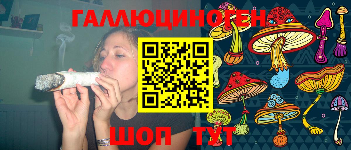 Галлюциногенные грибы Psilocybe  Галлюциногенные грибы Magic Shrooms  Бердск  Вход с VPN 
