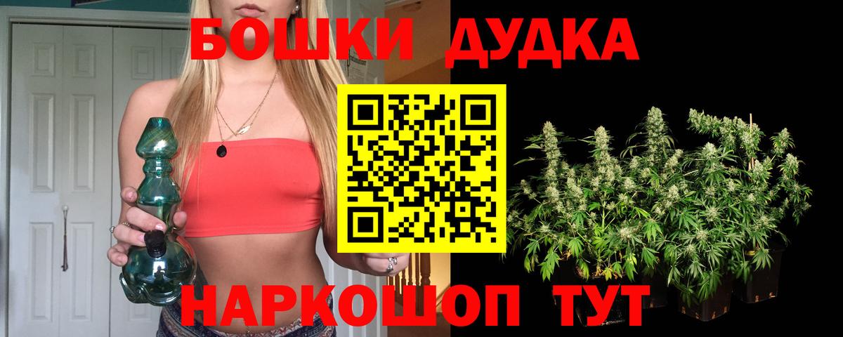 Шишки марихуана сатива  Каннабис планчик  Вход с VPN  Бердск 